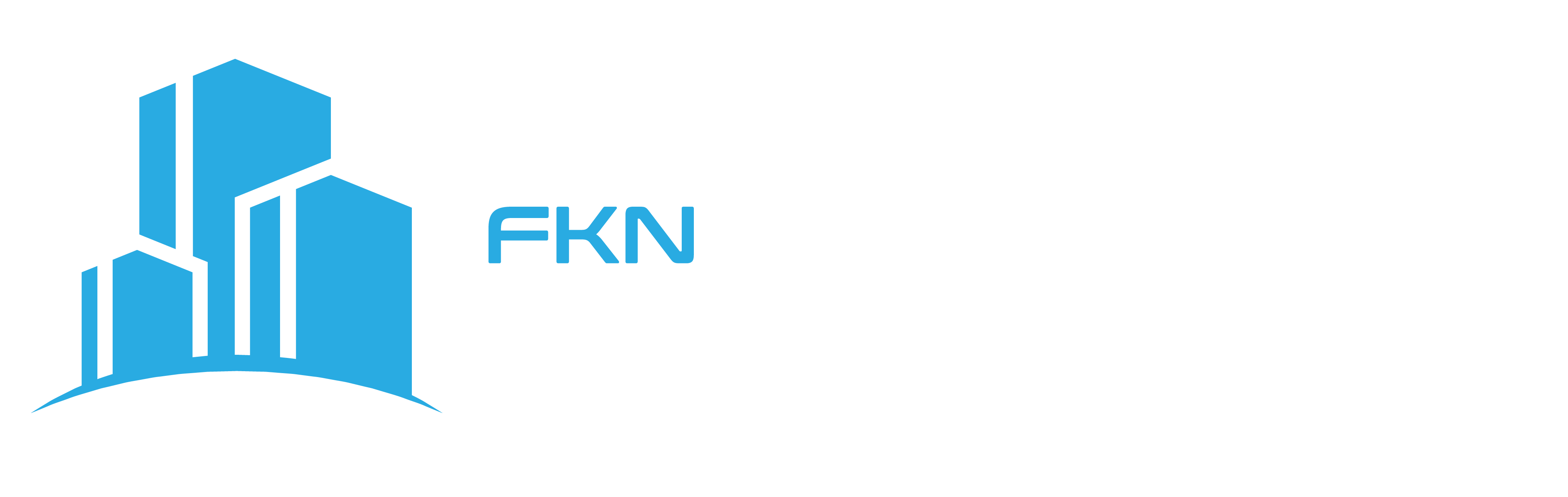 fkn-consulting.fr